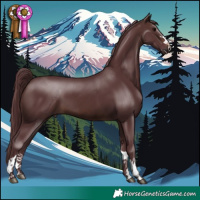 Horse Color:Chocolate Brown 