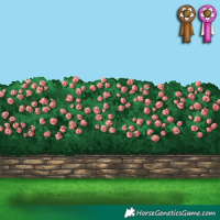 Horse Color:Chocolate Brown 