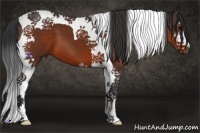 Horse Color:Brown Sabino Tobiano 