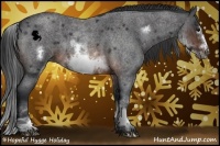 Horse Color:White Spotted Brown Roan Frame 