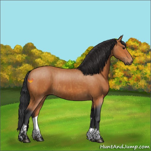 Horse Color:Bay  and Bay 