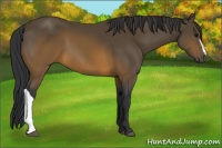 Horse Color:Brown 