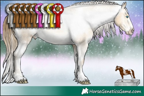 Horse Color:Sable Cream Champagne Sabino Appaloosa 