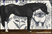 Horse Color:Gray Black 