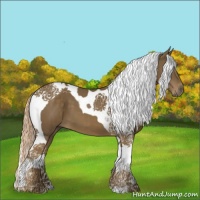 Horse Color:Chocolate Palomino Tobiano 