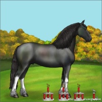 Horse Color:Liver Chestnut Sabino Tobiano