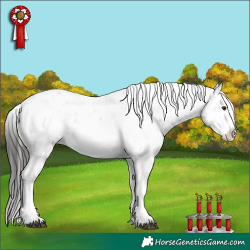 Horse Color:Liver Chestnut Sabino