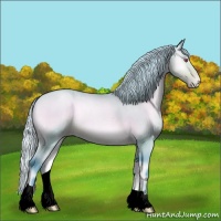 Horse Color:Watercolor Silver Brown Chinchilla Pearl Onyx