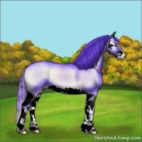 Horse Color:Watercolor Blue Onyx Chinchilla Splash