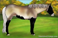 Horse Color:Silver Blue Onyx Splash