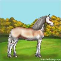 Horse Color:Silver Brown Onyx Sabino Splash