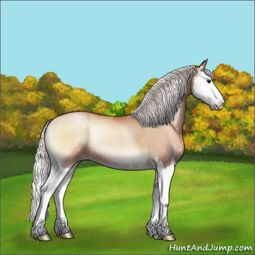 Horse Color:Silver Brown Pearl Onyx Sabino Splash 