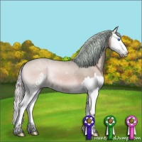 Horse Color:Watercolor Silver Brown Onyx Sabino Splash 