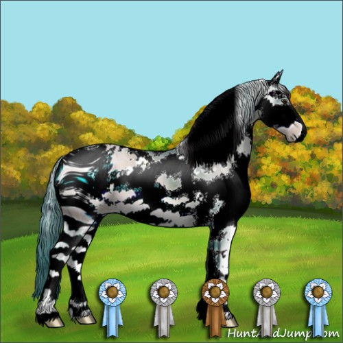 Horse Color:ERROR: UNKNOWN ANOMALY