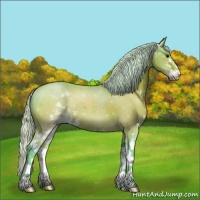 Horse Color:Watercolor Silver Brown Sabino 