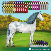 Horse Color:ERROR: UNKNOWN ANOMALY