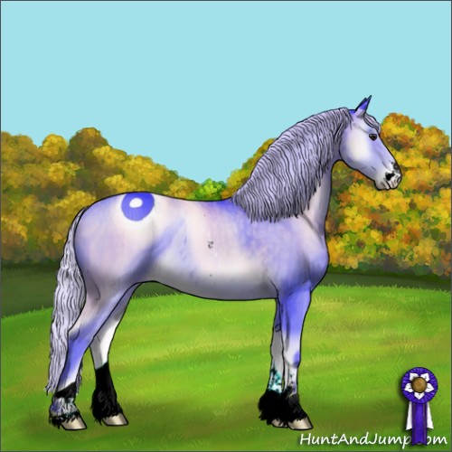 Horse Color:ERROR: UNKNOWN ANOMALY