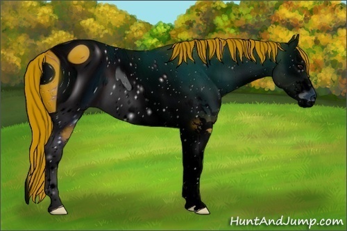 Horse Color:ERROR: UNKNOWN ANOMALY