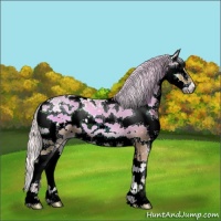 Horse Color:Watercolor Silver Blue Onyx Sabino Splash