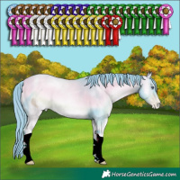 Horse Color:ERROR: UNKNOWN ANOMALY