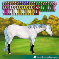 Horse Color:ERROR: UNKNOWN ANOMALY