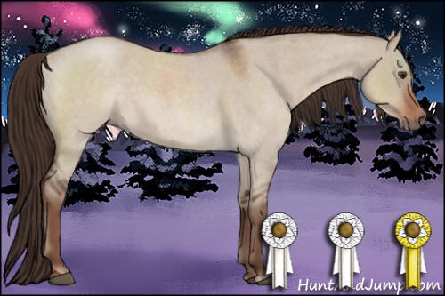 Horse Color:Liver Red Dun Roan Sabino Rabicano