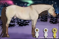 Horse Color:Liver Red Dun Roan Sabino Rabicano