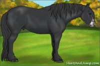 Horse Color:Black Frame 