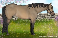 Horse Color:Brown Dun
