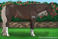 Horse Color:Silver Brown 