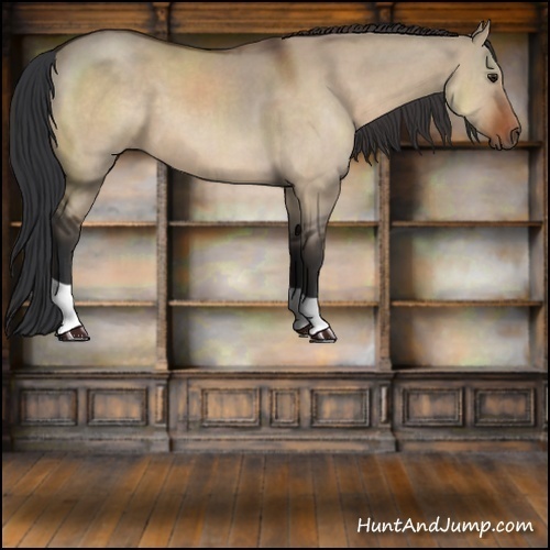 Horse Color:Brown Dun