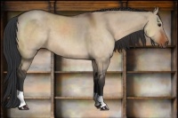 Horse Color:Brown Dun 