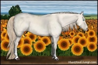 Horse Color:Perlino Dun