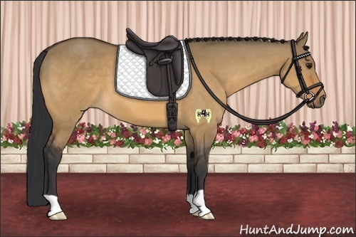 Horse Color:Brown Dun 