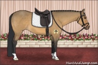 Horse Color:Brown Dun 