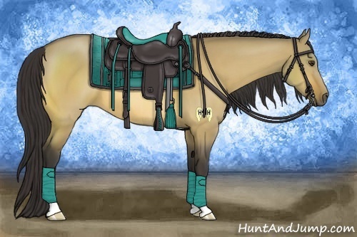 Horse Color:Buckskin Dun 