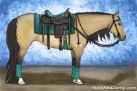 Horse Color:Buckskin Dun 