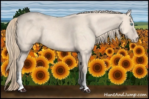 Horse Color:Perlino
