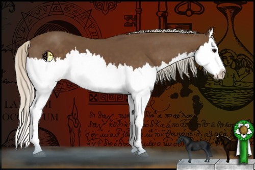 Horse Color:Silver Black Splash 