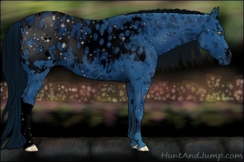 Horse Color:ERROR: UNKNOWN ANOMALY