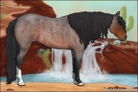 Horse Color:Brown Roan Tobiano 