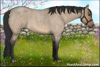 Horse Color:Bay Roan Dun 