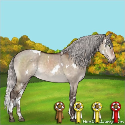 Horse Color:White Spotted Silver Brown Dun Brindle 