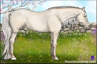 Horse Color:Silver Amber Cream Champagne Pearl