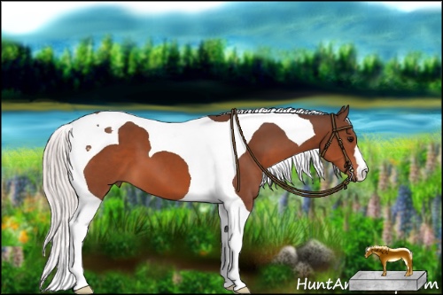 Horse Color:Silver Brown Tobiano 