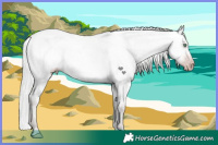 Horse Color:Gray Platinum White Spotted Silver Amber Cream Champagne Roan Dun Splash Frame Varnish Rabicano 