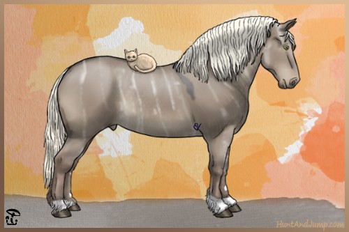 Horse Color:Liver Red Dun Ice Rabicano 