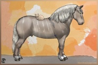Horse Color:Liver Red Dun Ice Rabicano 