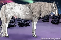 Horse Color:Silver Black Ice Splash