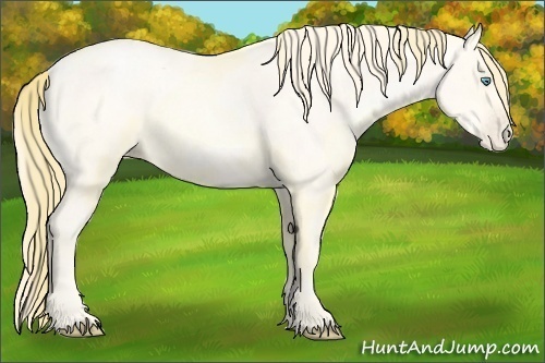 Horse Color:Buckskin Roan Pearl  and Amber Cream Champagne Roan Pearl 